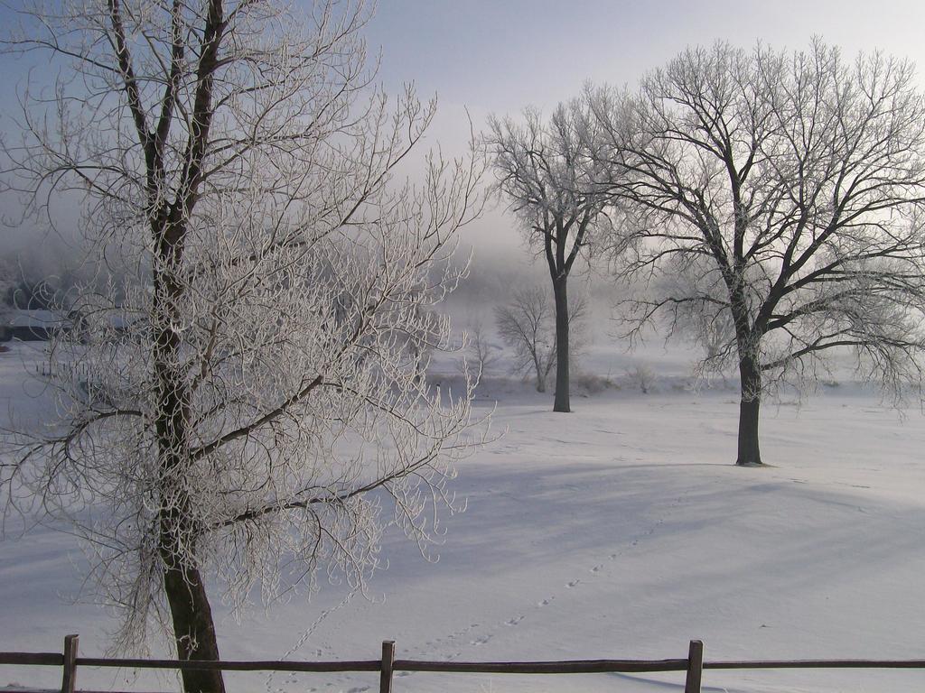 The Lodge Resort Hotel Forest City 外观 照片